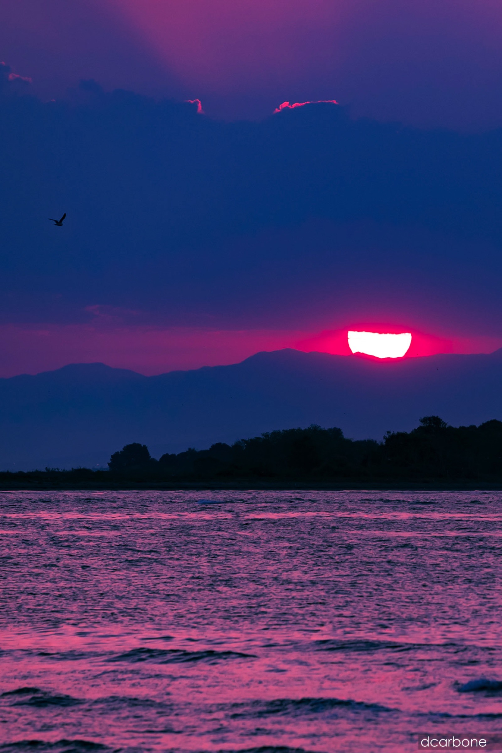 Lignano Sabbiadoro Panorama 202307