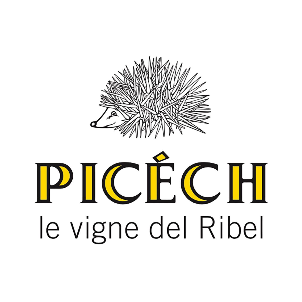 Picech